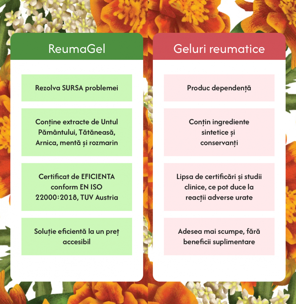 Crema Antireumatica ReumaGel ,cu Untul Pamantului,Tataneasa si Arnica, 250ml, PROTERAPIA [4]