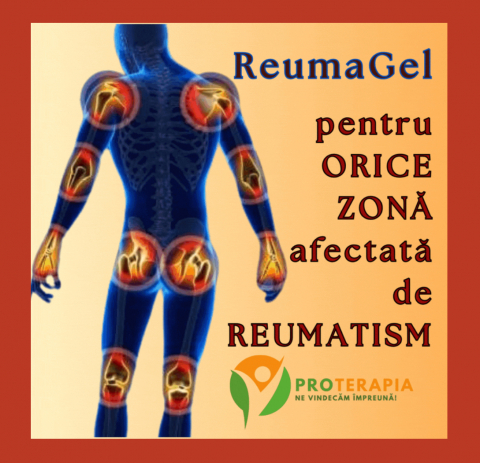 Crema Antireumatica ReumaGel ,cu Untul Pamantului,Tataneasa si Arnica, 250ml, PROTERAPIA [1]