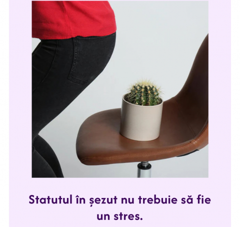 HemaTon 50 ml - Crema pentru Hemoroizi si Fisuri Anale cu Plante Medicinale, Ceară de Albine și Rășină de Brad, Efect in 24h, POTERAPIA [5]