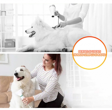 Perie cu Uscator ALG™, pentru Caini/Pisici si alte Animale de Companie , 2 in 1cu 3 moduri de Uscare, Zgomot Redus, 300W, Cablu 1.5m, Alb-Verde [8]