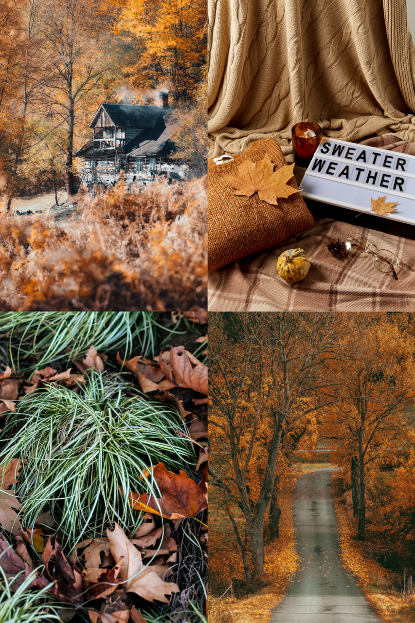 Autumn Retreat Wax Melts Box [2]