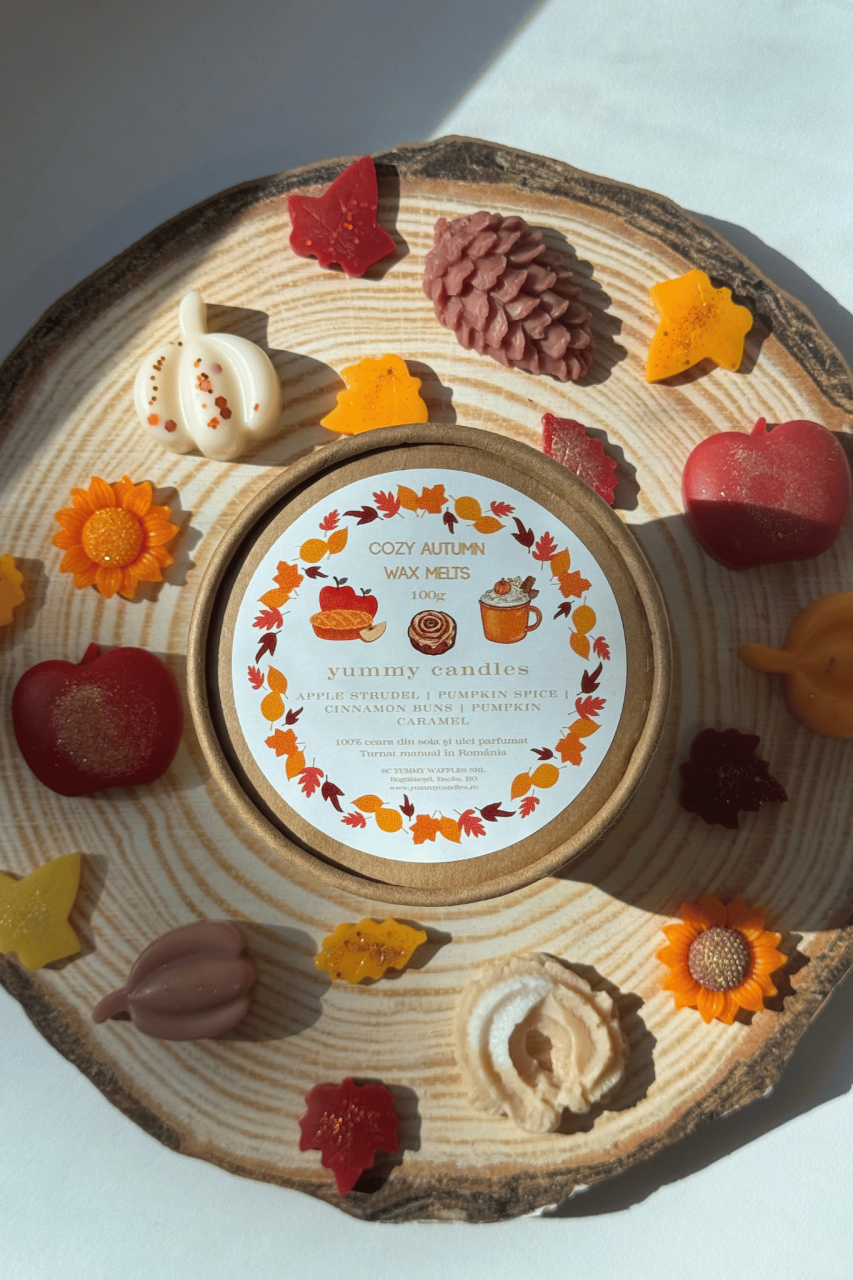 Cozy Autumn Wax Melts [2]