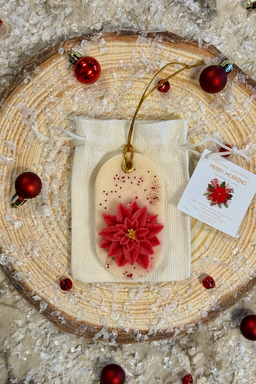 Odorizant de dulap oval Merry Morning [1]