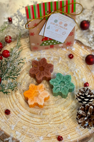 Lumanari Craciun - Dor de Crăciun – set wax melts din ceară naturală de soia