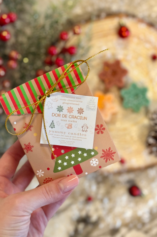 Dor de Crăciun – set wax melts din ceară naturală de soia [2]