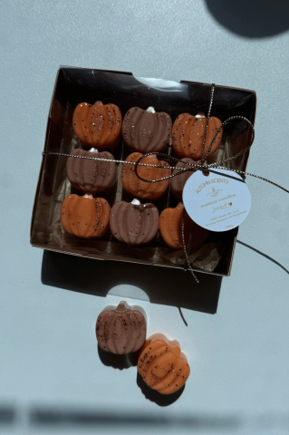 Wax Melts - Wax Melts Autumn Scents