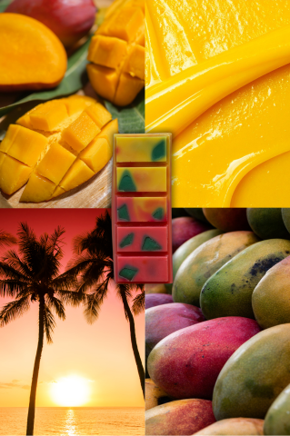 Fructate - Wax Melts Fizzy Mango – parfum fructat fresh, ceară de soia