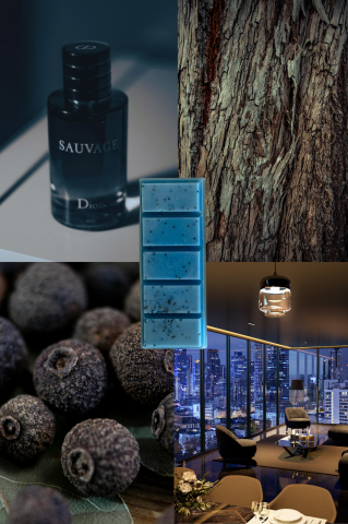 Inspirate din parfumuri - Wax Melts Sauvage