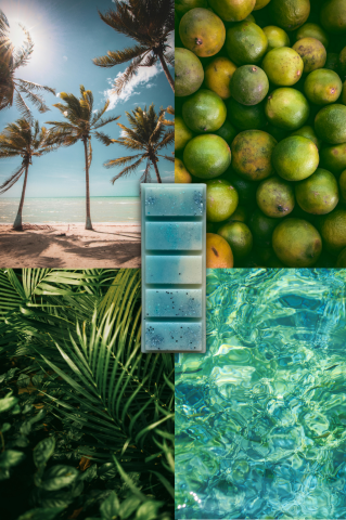 Wax Melts - Wax Melts Turquoise Water – parfum floral-verde, ceară de soia