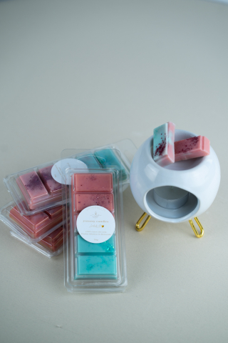 Wax Melts - Wax Melts Watermelon