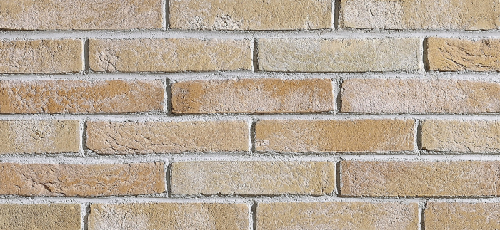 Caramida aparenta, culoare Romanico antichizat, 250x120x55 mm [2]