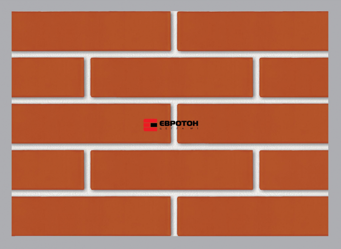 Facing brick, color red, 250x120x65 - Copie [2]