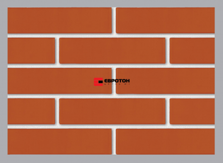 Facing brick, color red, 250x120x65 - Copie [1]
