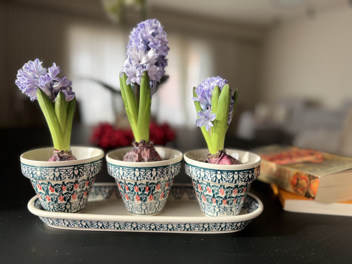 Set trei ghivece cu farfurie Flower Bed, ceramica smaltuita, pictate manual [7]