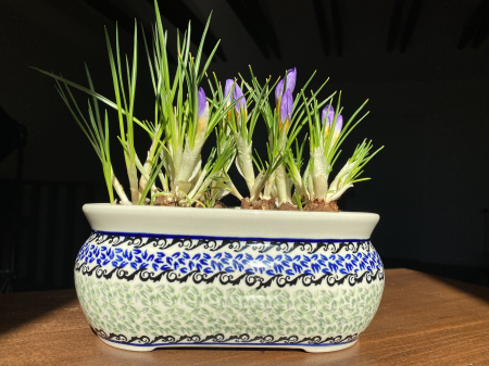 Ghiveci dublu Sweet Dreams, ceramica smaltuita, pictat manual, 21,0 x 12,0 x 8,8 cm [4]