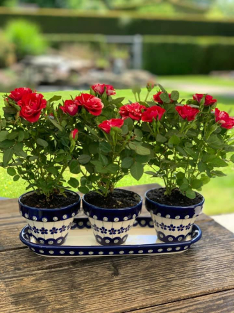 Set trei ghivece cu farfurie Floral Peacock, ceramica smaltuita, pictate manual [10]