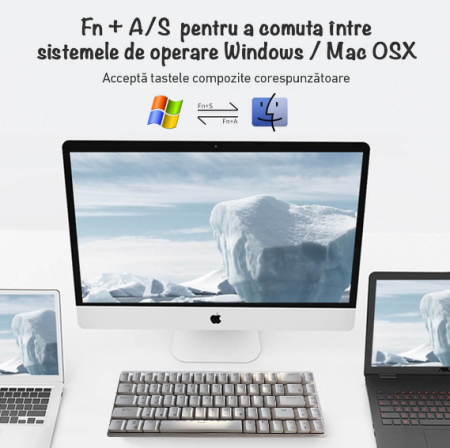 Tastatura Mecanica Wireless/ Fir ZENKABEAT, Cablu, Bluetooth, 2.4Ghz, RGB, 68 Taste, Functie Hot-Swap, Soft customizabil RGB, Compatibila Play Station,  Baterie 3150 mAh, Red Switches, Alba [3]