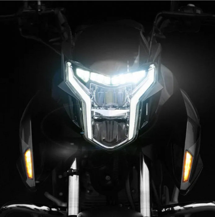 daytona monster 125 [2]