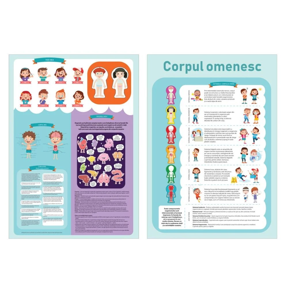 Puzzle educativ, Corpul omenesc, 60 piese [4]