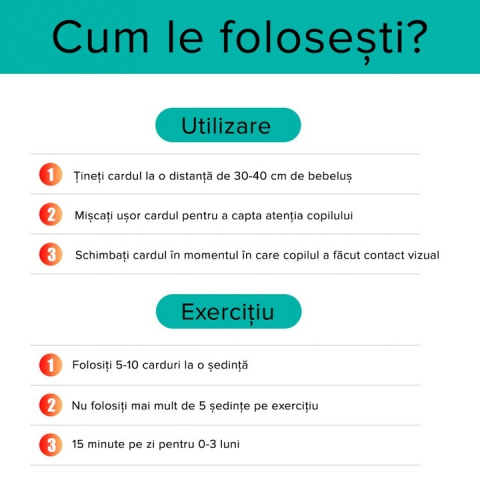 Set 20 Carduri Baby Vision de stimulare vizuală pentru bebeluși, 6-12 luni [6]