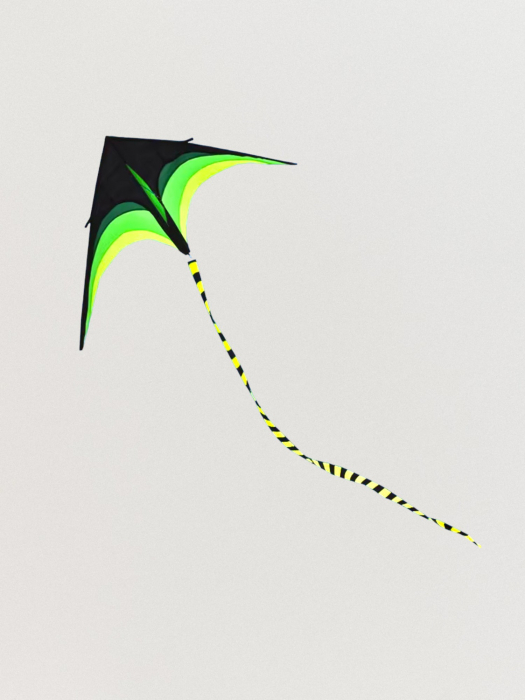 Zmeu Sprinter 160 x 80 cm Verde/Negru [2]