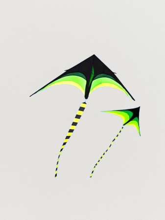 Zmeie - Zmeu Sprinter 160 x 80 cm Verde/Negru