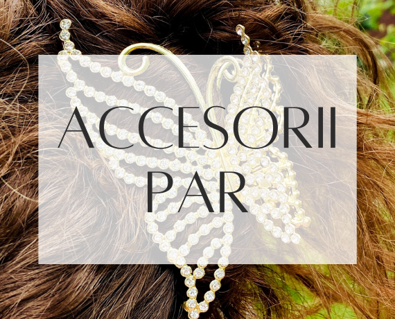 Accesorii de Par