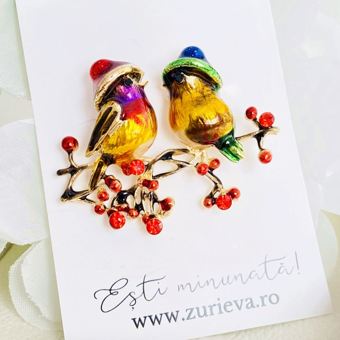 Brosa Pasari Colorate, Brosa Dama Femei [2]