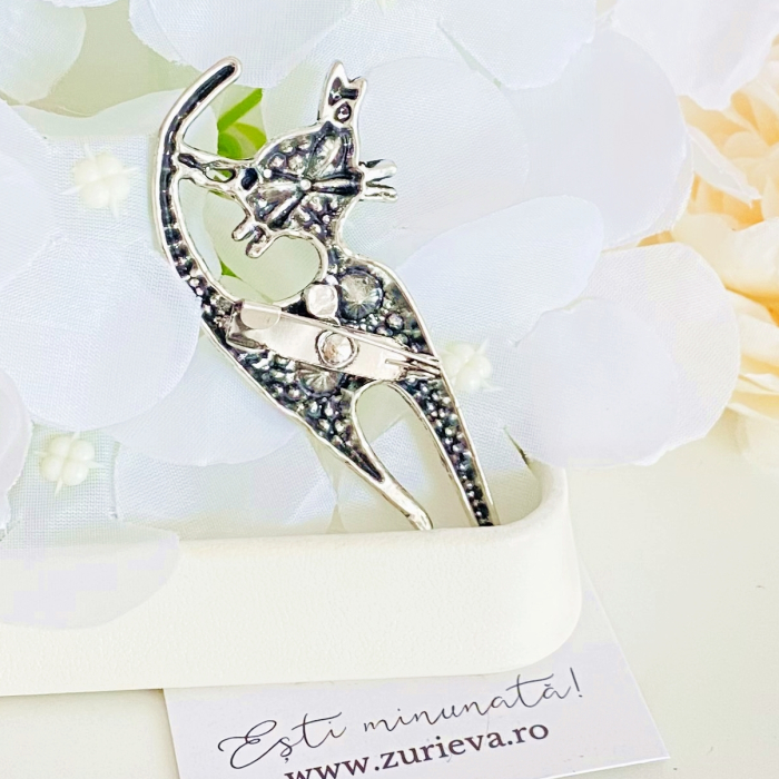 Brosa Pisica Argintie & Cristale Colorate, Brosa Dama Femei [5]