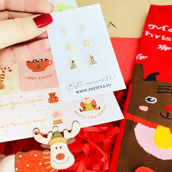 Set Cadou Reni, Gift Box pentru femei, Seturi Cadou Craciun [3]