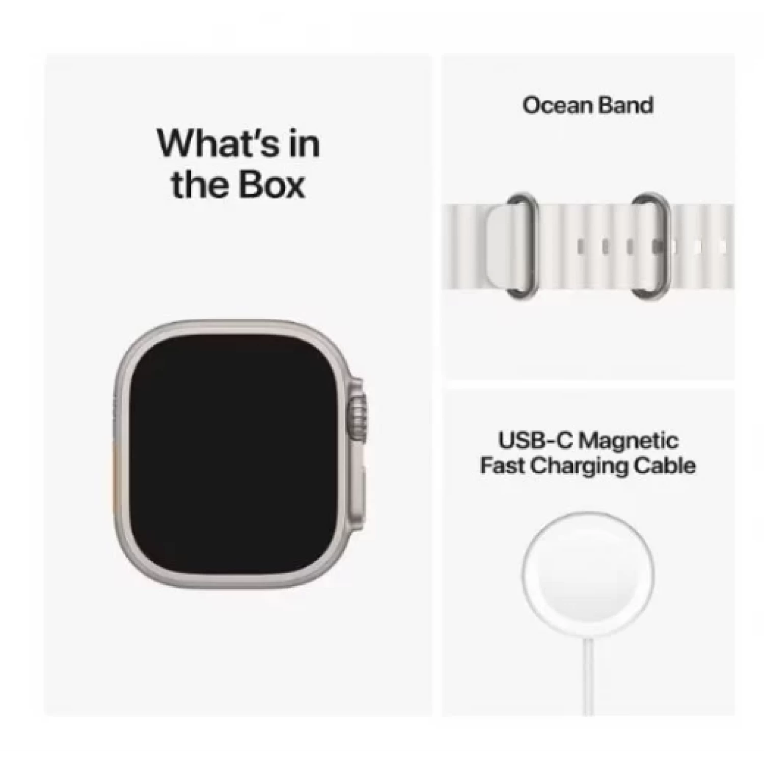 Ceas Inteligent SmartWatch 2.1 inch+ Curea EXTRA, Apel Bluetooth, Incarcator Wireless, metal, Notificari Apel si Retele Sociale, Oximetru, Ritm Cardiac, Termometru, Monitorizare somn, 105 M [15]