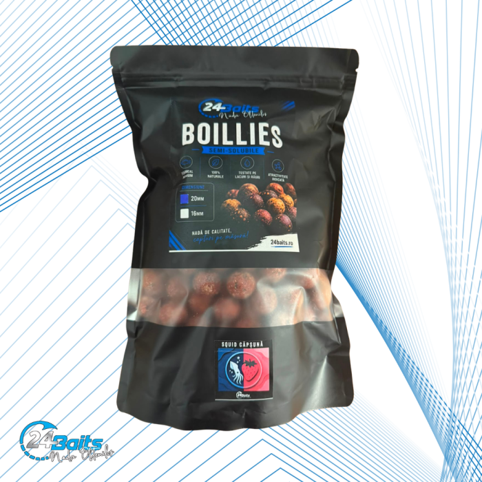 Pachet Promoțional Pescuit la Boilies – 3 kg Boilies și 3 Monturi Elicopter | 24Baits [6]