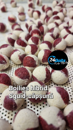 Produse - Boiles 20 mm