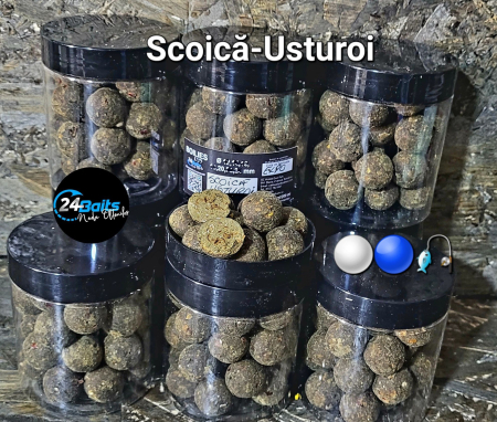 Boiles - 24Baits Boilies Scoica-Usturoi