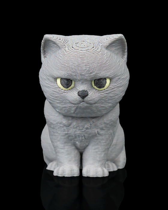 British shorthair [3]