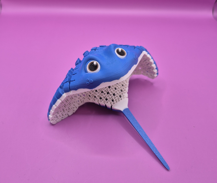 Pisică de mare. [3]