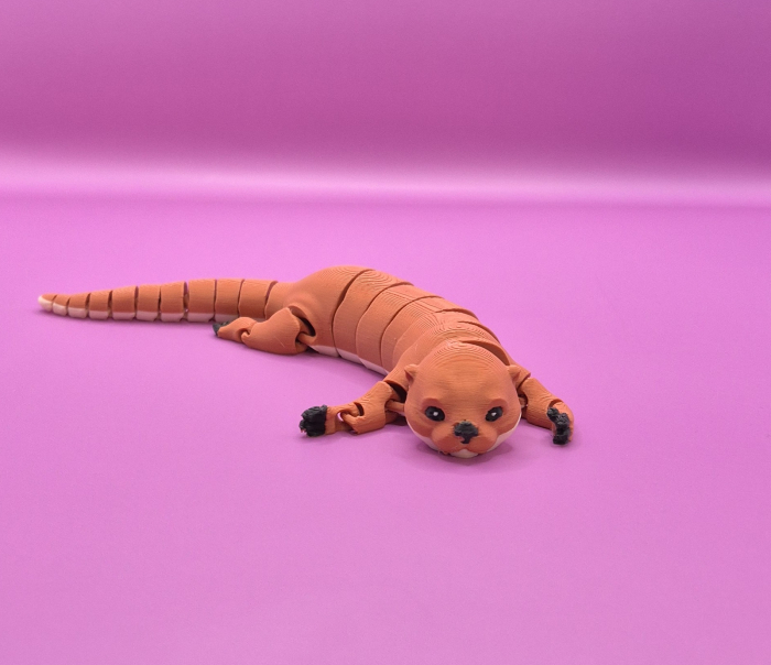 Vidra jucăușă. [2]