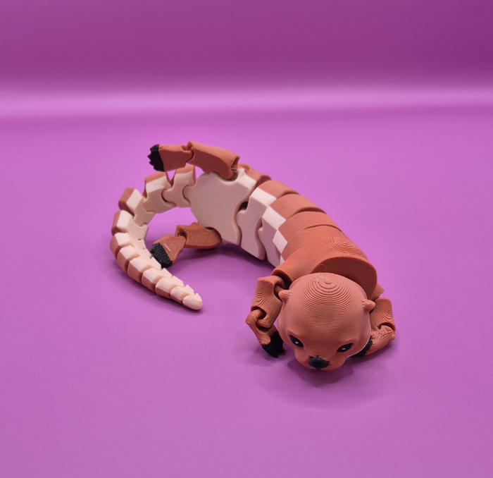 Vidra jucăușă. [3]