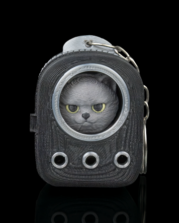 Decoratiuni - British shorthair