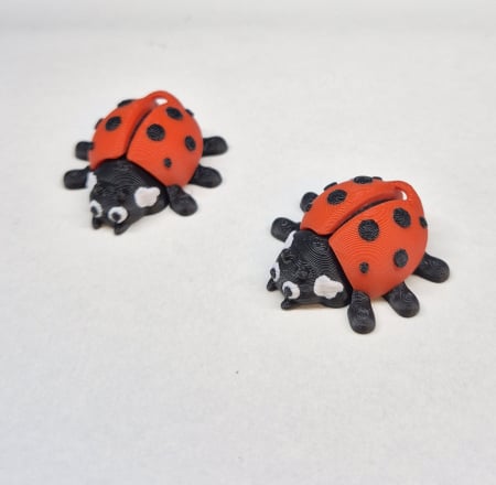 Decoratiuni - Buburuză breloc