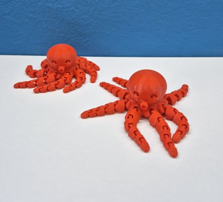 Decoratiuni - Caracatița pupăcioasă.