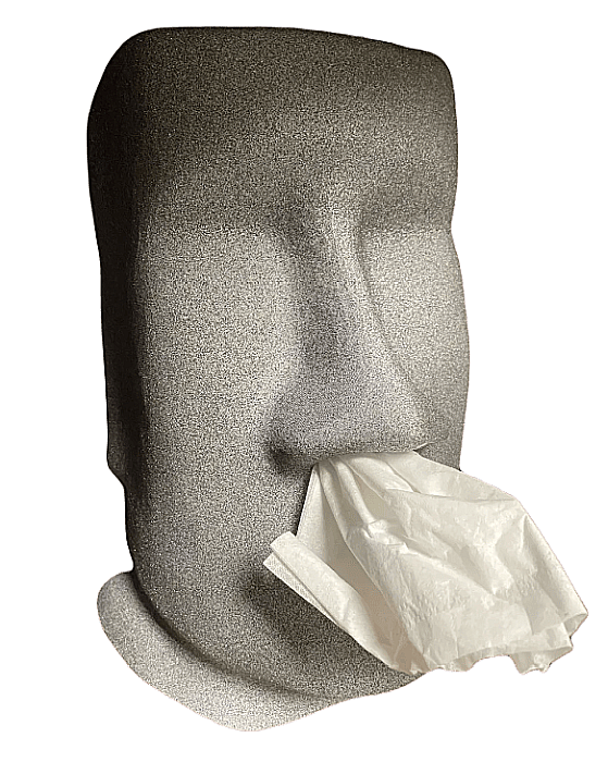 Dispenser șervetele Moai [1]