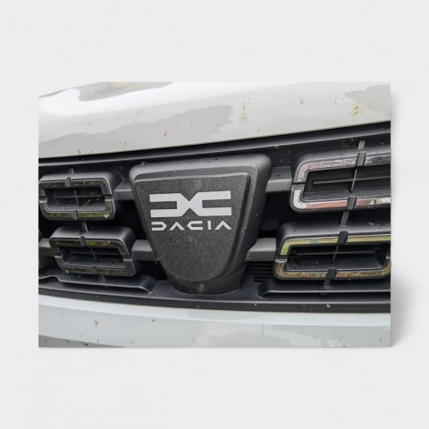 Produse - Siglă personalizată pentru Duster 2