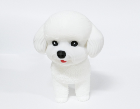 Bichon Frisé [1]