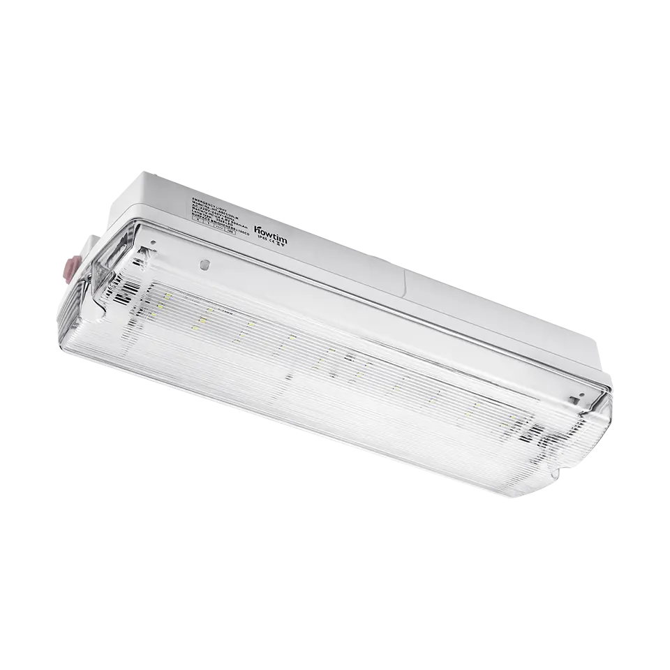 Iluminat de siguranta - Corp de iluminat LED de siguranta 4LED Orion OR03-H3-LR/D, 3W, autonomie 3h