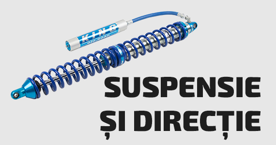 SUSPENSIE DIRECTIE