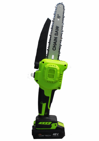 Fierăstrău Electric cu Lanț Raytech, 48V, 24CM, 2500RPM, 2 Acumulatori, Geantă Transport [1]