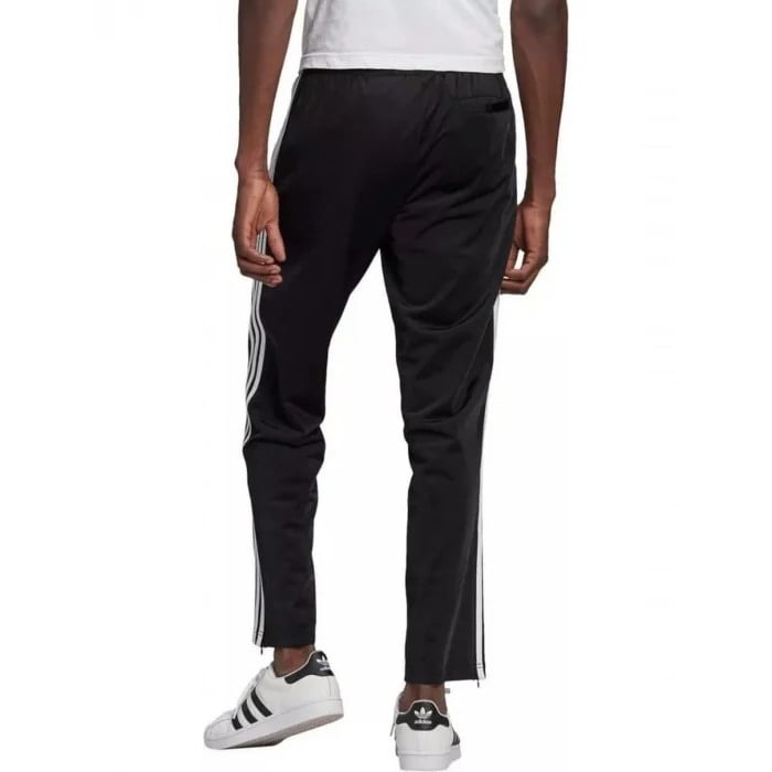 firebird tp GN3517 [2]