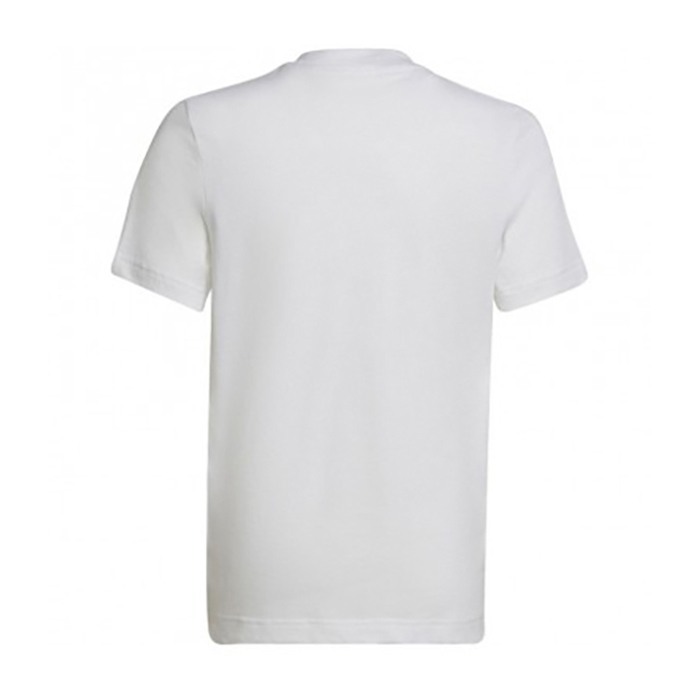 m fl bx t GS6281 [2]