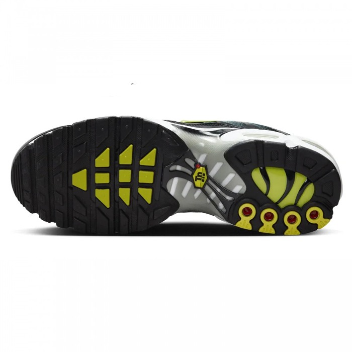 nike air max plus DM0032-006 [3]